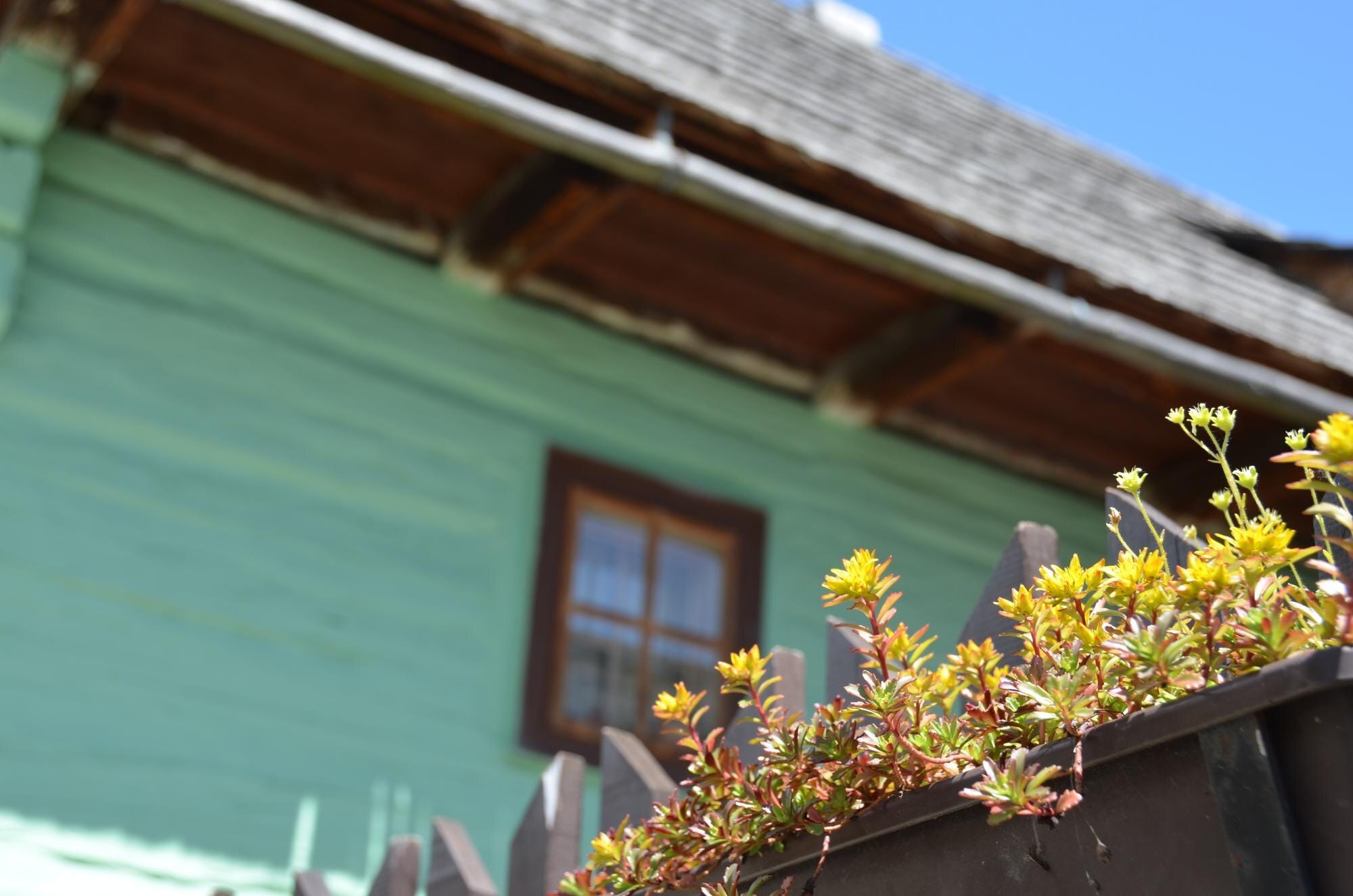 Paint Now, Profit Later: How Timely Painting Boosts Value and Curb Appeal in Delaware